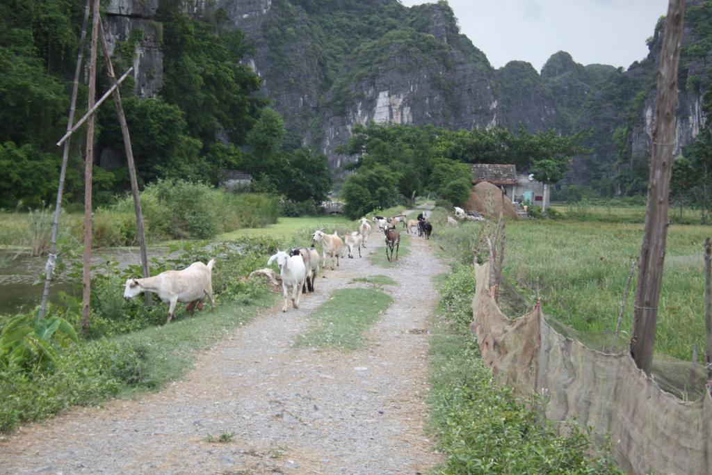 Ninh Binh Valley Homestay Екстериор снимка